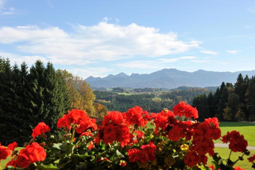 Lamplhof Villa Rimsting Bagian luar foto